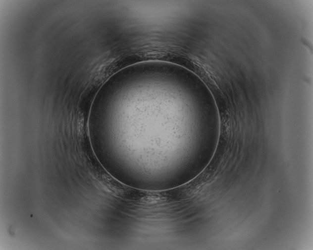 X0000091470745200708231338