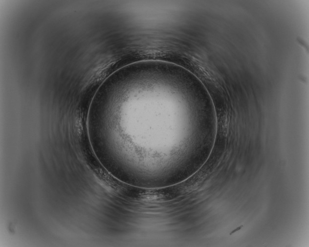 X0000091470746200708231338