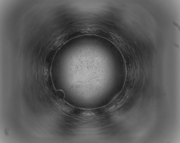 X0000091470749200708231338