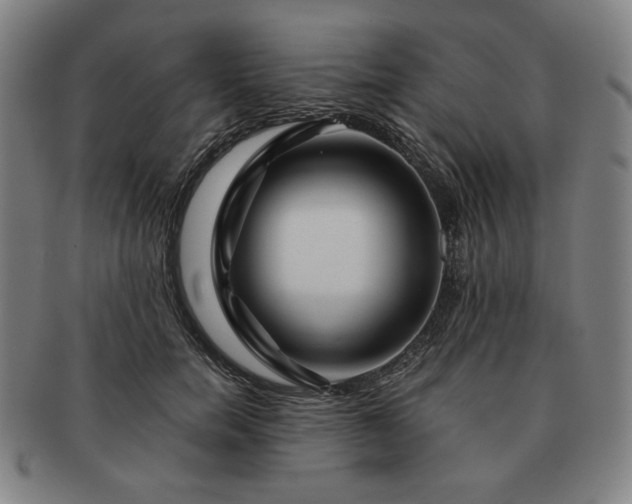 X0000091470750200708231338