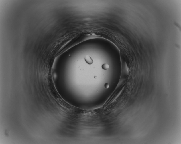 X0000091470752200708231338