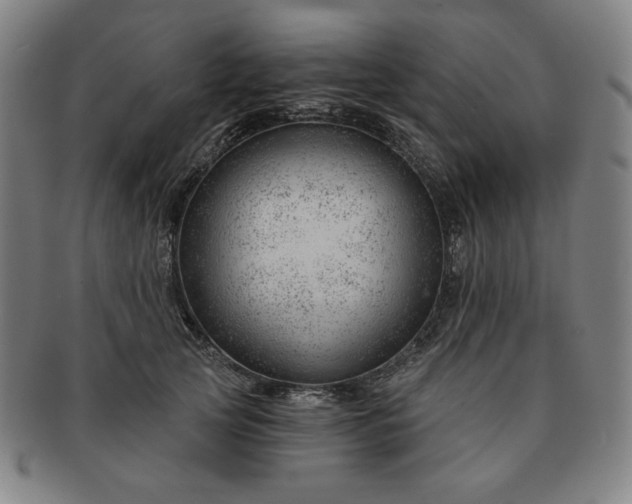 X0000091470753200708231338