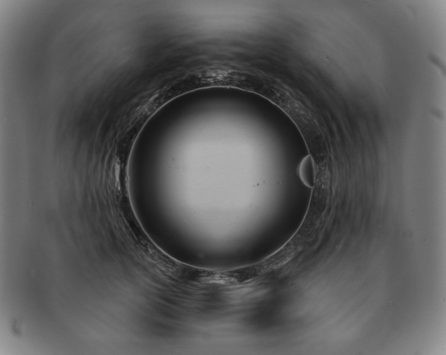 X0000091470754200708231338