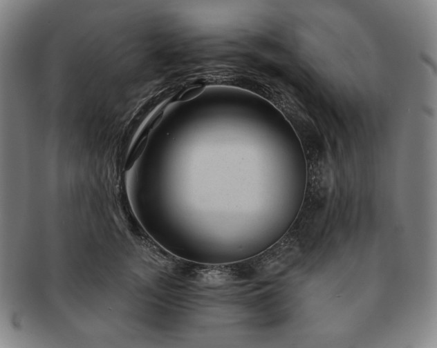 X0000091470755200708231338