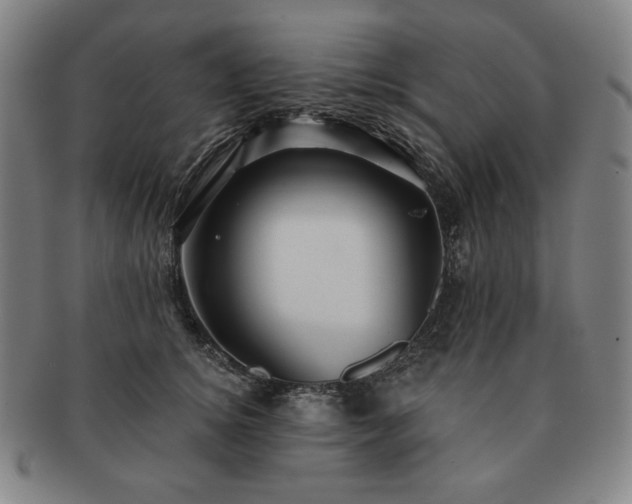 X0000091470756200708231338