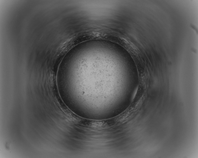 X0000091470757200708231338