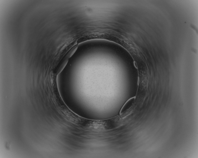 X0000091470758200708231338