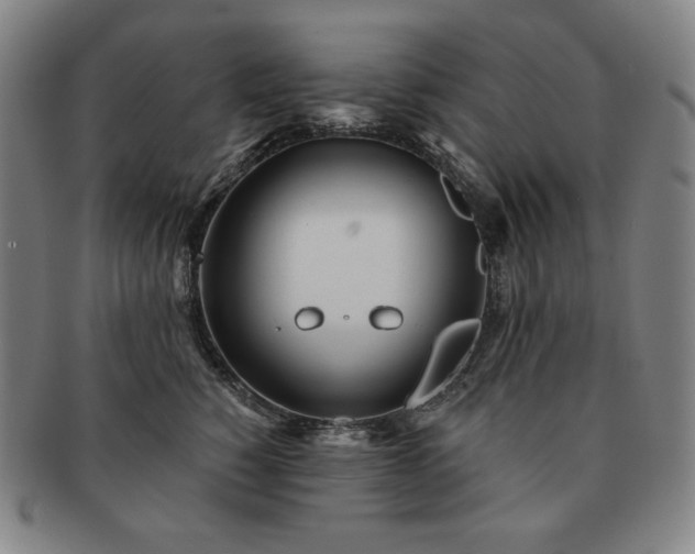 X0000091470760200708231338