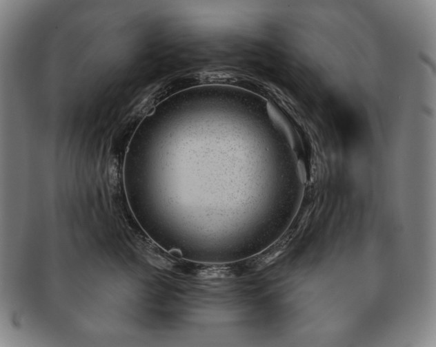 X0000091470761200708231338