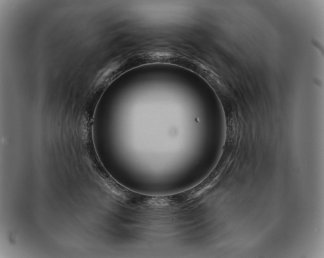 X0000091470762200708231338