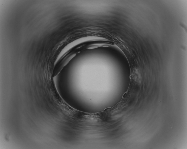 X0000091470763200708231338