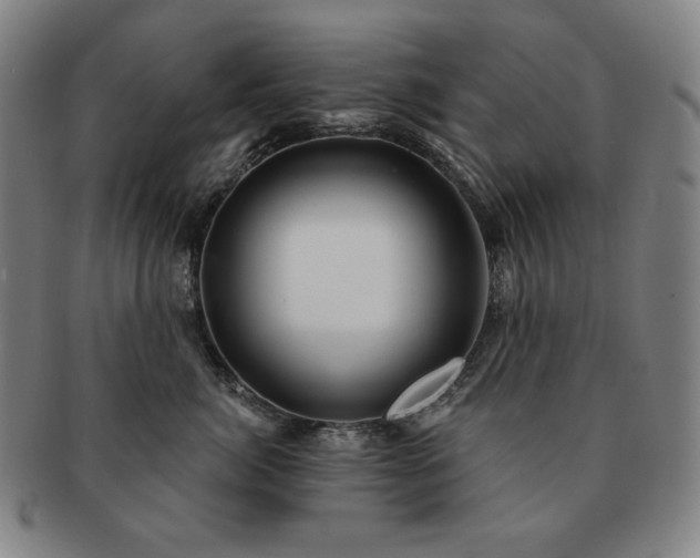 X0000091470764200708231338