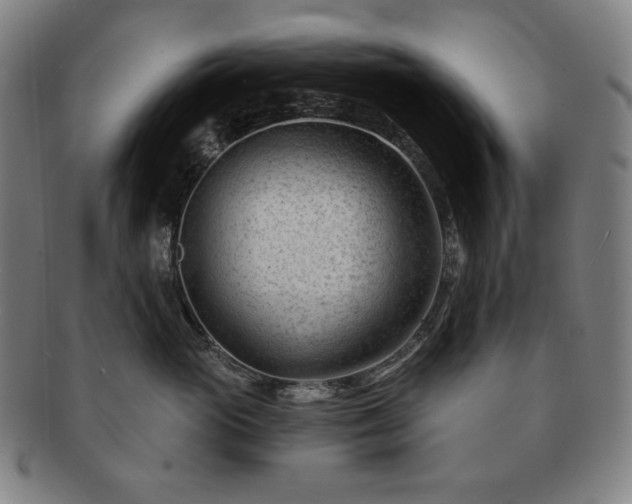 X0000091470765200708231338