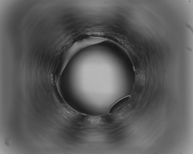 X0000091470767200708231338