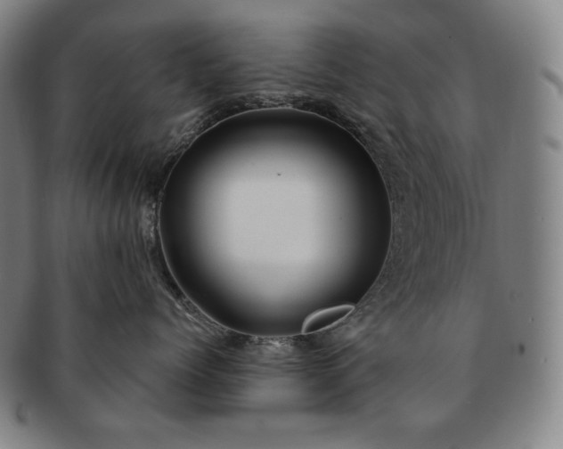 X0000091470768200708231338