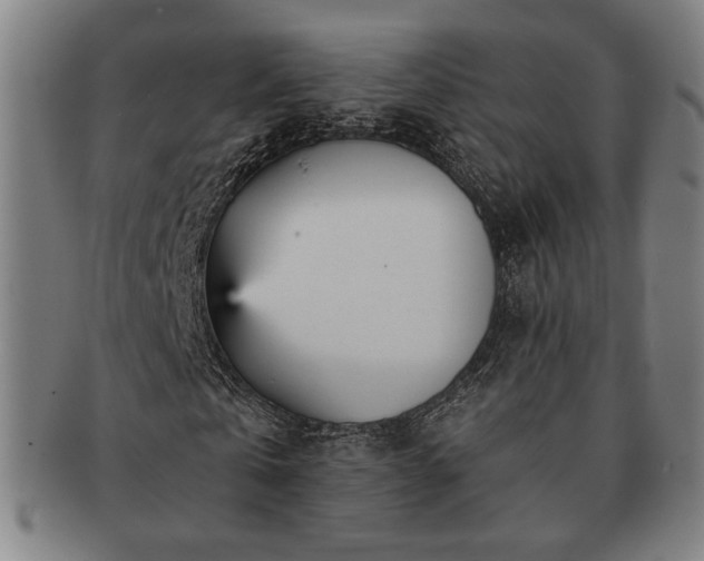 X0000091470769200708231337