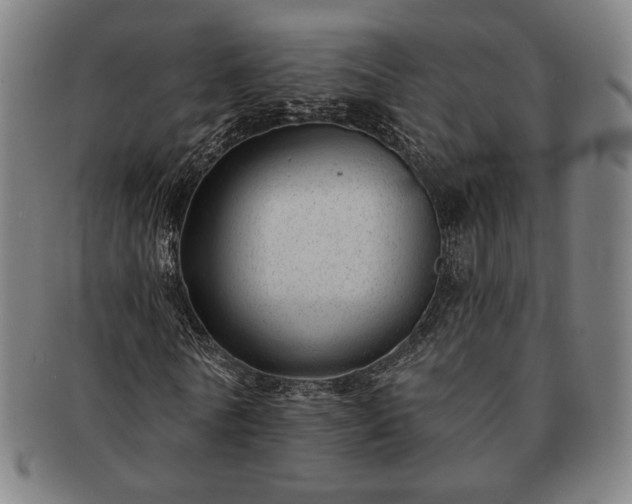 X0000091470770200708231337