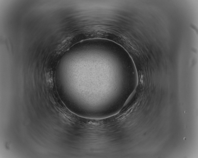 X0000091470771200708231337