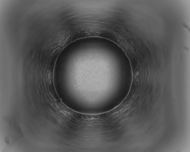 X0000091470772200708231337