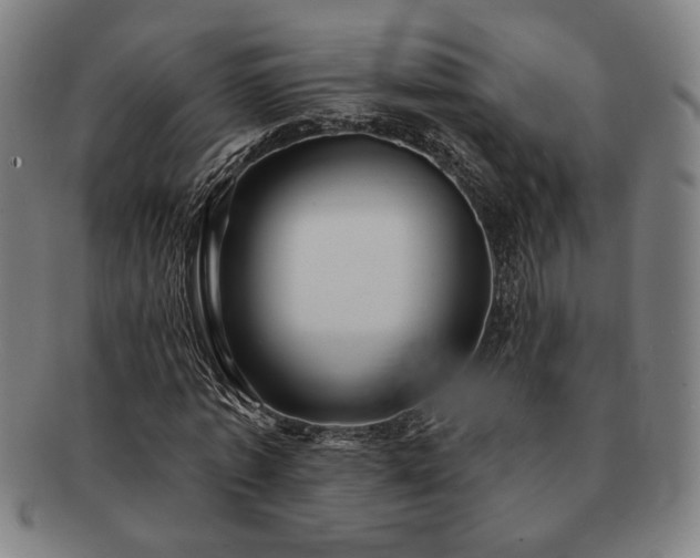 X0000091470773200708231337