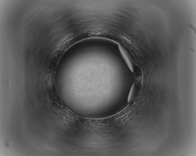 X0000091470774200708231337