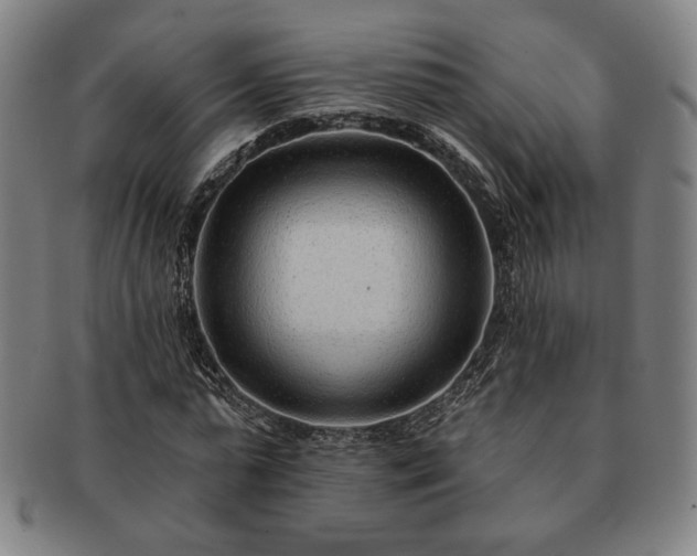 X0000091470775200708231337