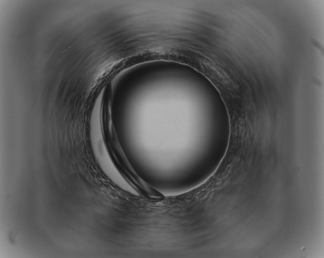 X0000091470776200708231337