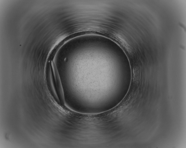 X0000091470780200708231337