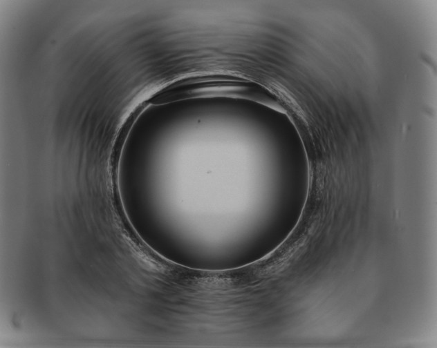 X0000091470789200708231337