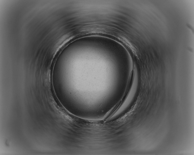 X0000091470790200708231337