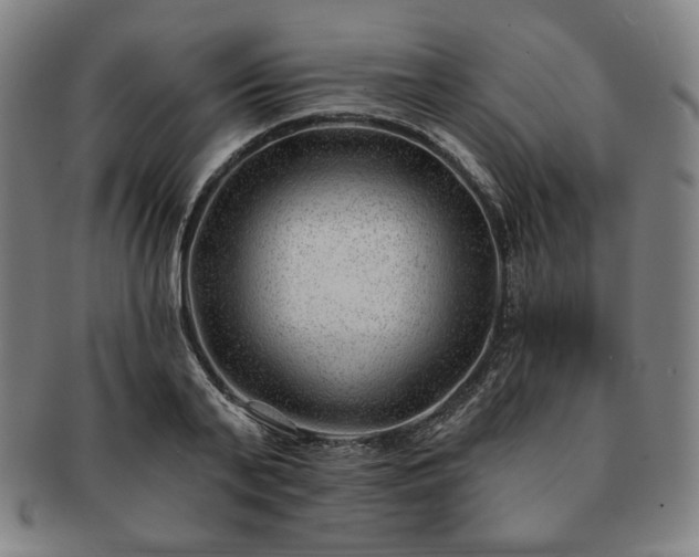 X0000091470791200708231337