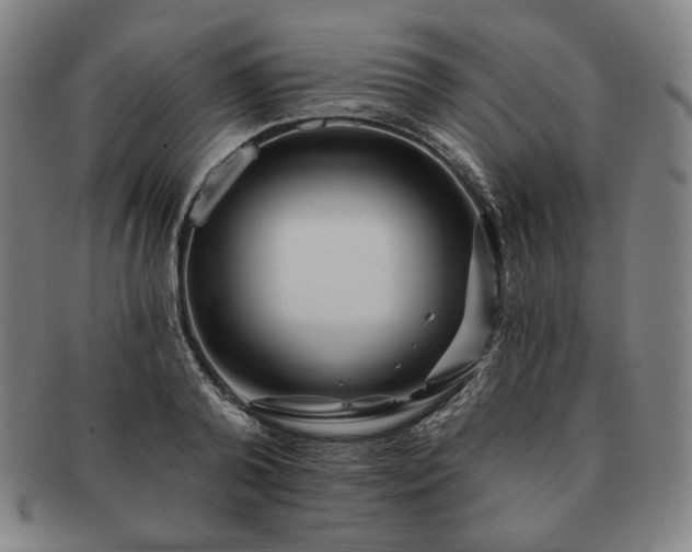 X0000091470792200708231337