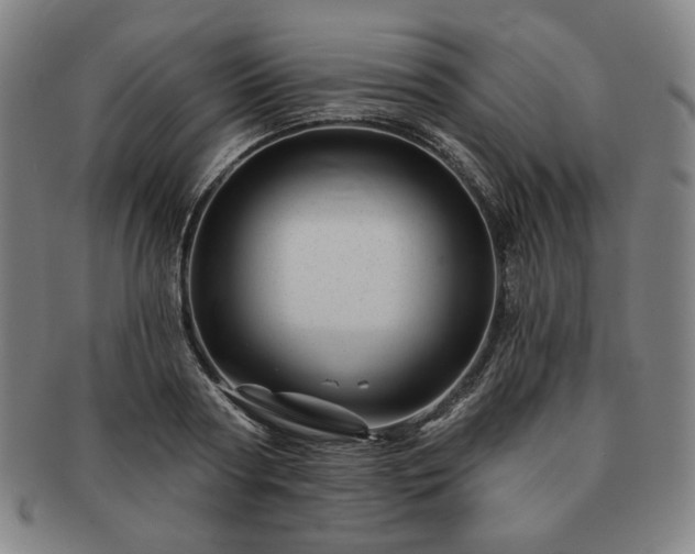 X0000091470794200708231337