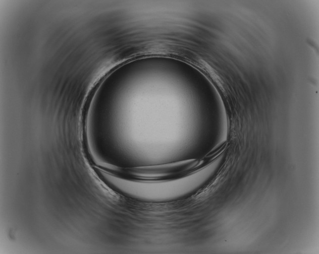 X0000091470795200708231337