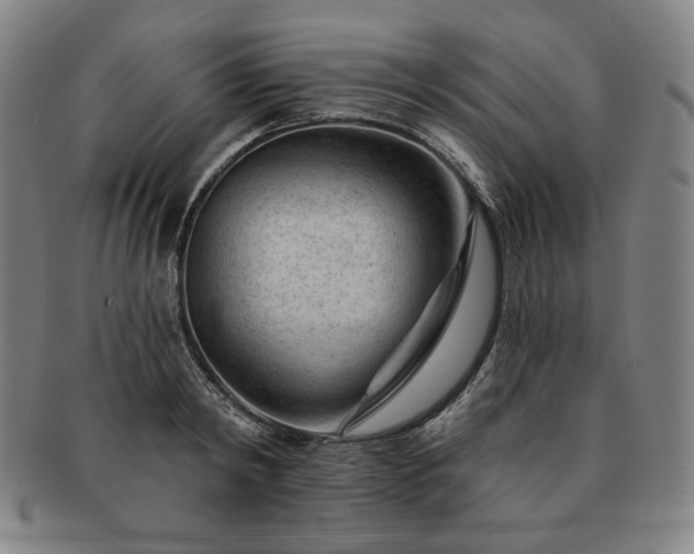 X0000091470798200708231337