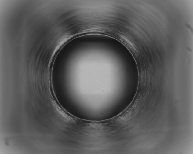 X0000091470800200708231337