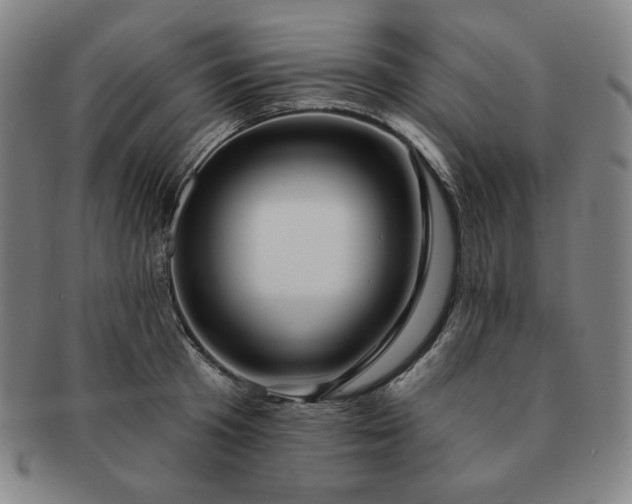 X0000091470801200708231337