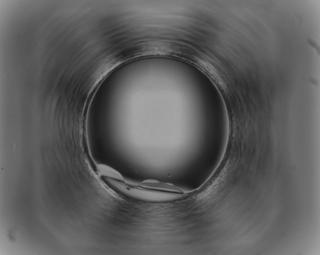 X0000091470802200708231337