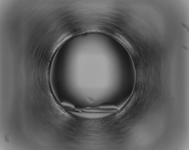 X0000091470806200708231337