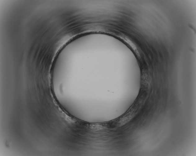 X0000091470807200708231337