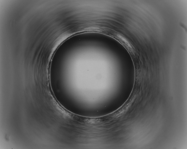 X0000091470808200708231337