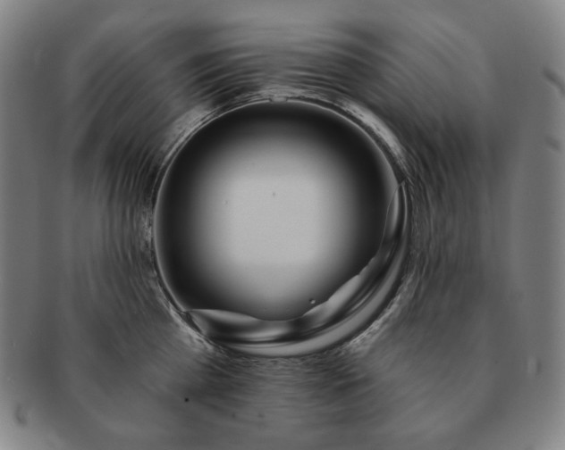 X0000091470809200708231337