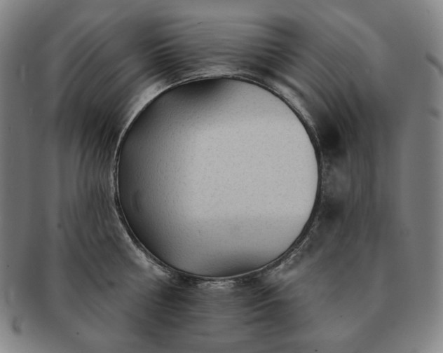 X0000091470810200708231337