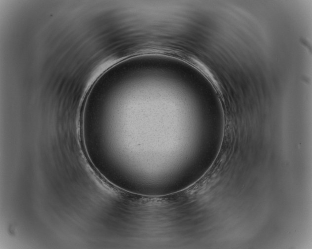 X0000091470811200708231337