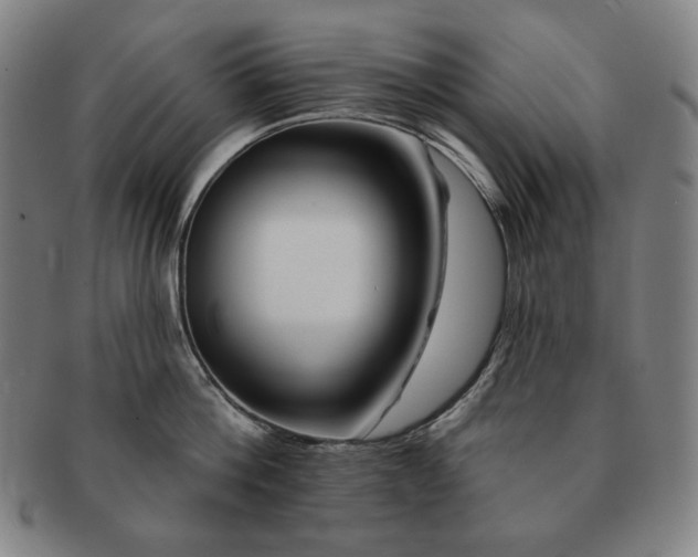 X0000091470812200708231337