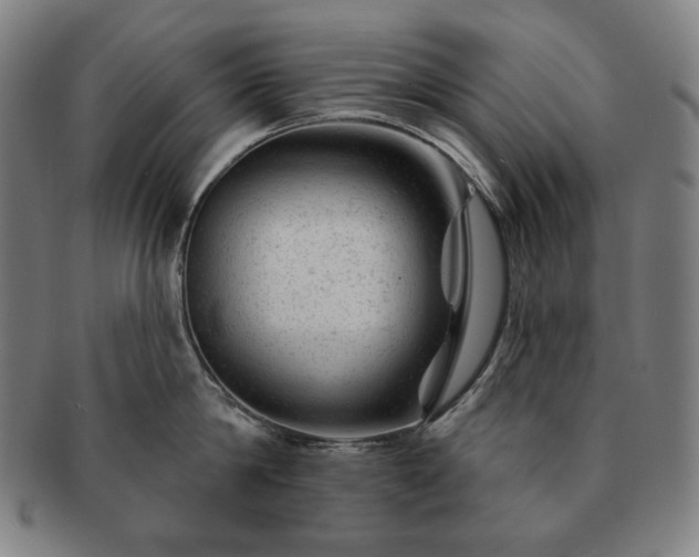 X0000091470814200708231337