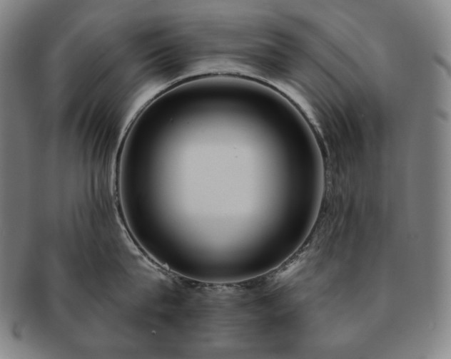 X0000091470815200708231337