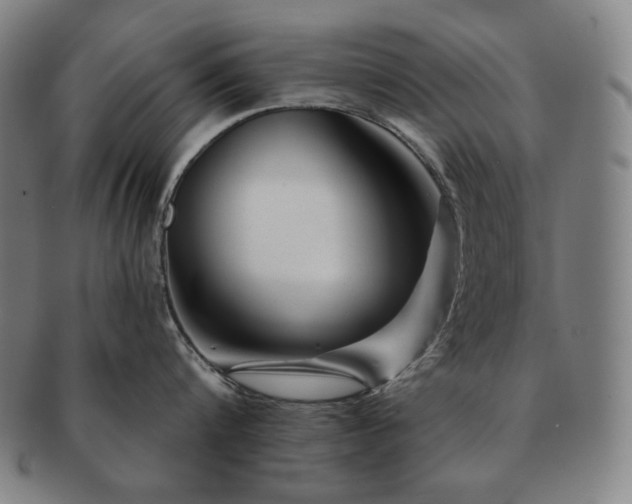 X0000091470816200708231337