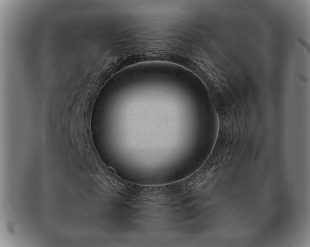 X0000091470817200708231336