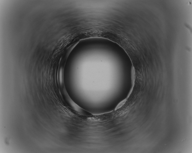 X0000091470818200708231336